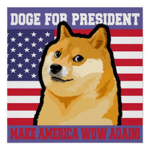 #TEH DOGE