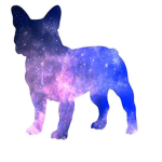 Galactic dogos