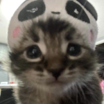 tamagotchii
