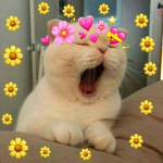 Dois Doidinhos