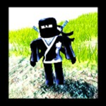 The ninja warrior's