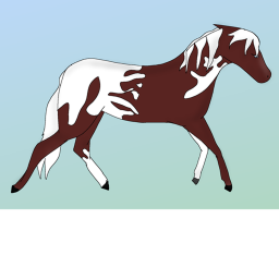 Spring Sensation English Barn