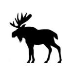 King Moose
