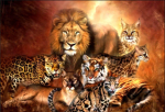 Tiger kings of jungles