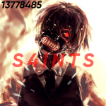 S4INTS.
