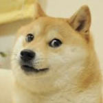 The Doge United