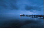 BLUES PEACHY GROUP