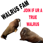 WALRUS FAM
