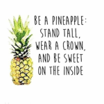 Pineapple Buddies