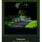 TheTrue_kakashe fan group