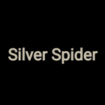 Silver Spider
