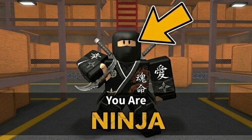 NINJA 🔪