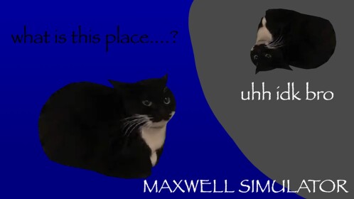 maxwell simulator 🐈