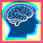 Mindset Projects