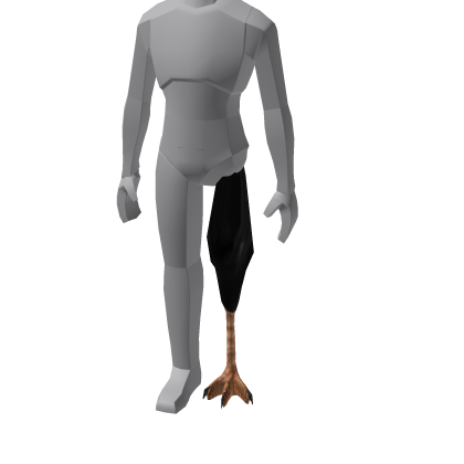 Asset 112088445020374