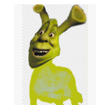 Shrek and Fiona squadddd