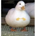 uuyout5