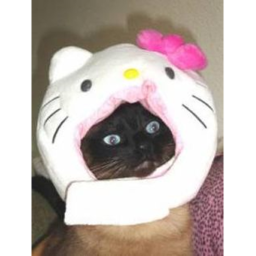 ☆⌒