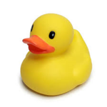 Duck gang#1