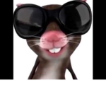 swag rats :)