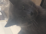 Kittyuuhh