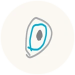vortex 