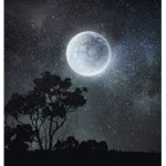 MoonLight_Gaming Fan Page