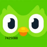 Birds United - Duolingo