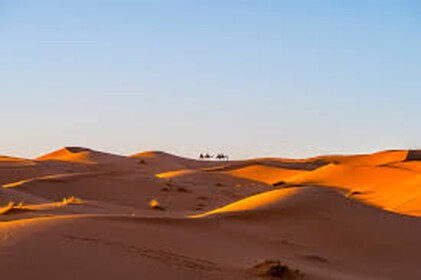 Tower of Dusty Dunes