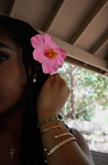 Tropicalgirlss