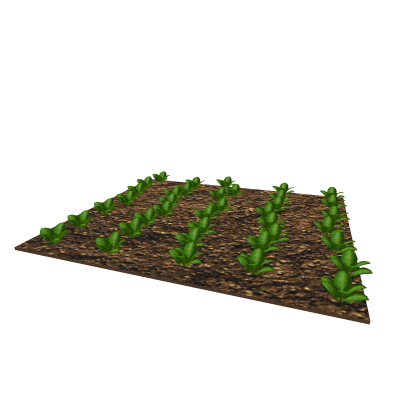 small garden for guria808