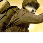 Army for the doge