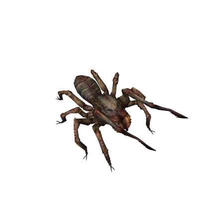 araña