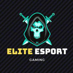 Elite Guyss