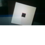 emily._.polar._.bear._.