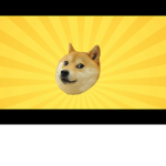 Doge nation!!!!!!!!!!!