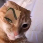 ello .-.