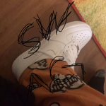 angelalts
