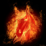 Fire horse herd