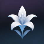Lirios Studios