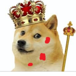 The cult of doges