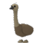The Emu Squad!