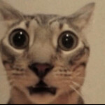 disgruntled office worker