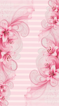 Angel's Bontique