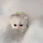 The Best Avatar For You Group Thumbnail