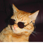 |Noob Patrol|