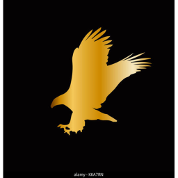 GoldenHawk