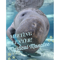 Mystical Manatee's Meeting HQ