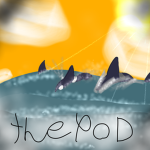 The pod of orcas