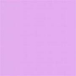 ~ Purple boutique ~